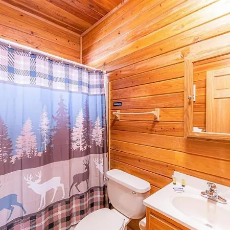 Cabin #5 Black Bear - Pet Friendly - Sleeps 6 - Playground & Game Room Payson Extérieur photo