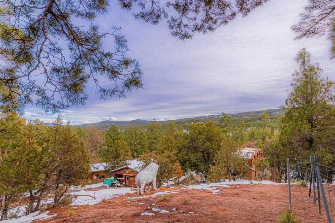 Chalet #5 Black Bear - Pet Friendly - Sleeps 6 - Playground & Game *